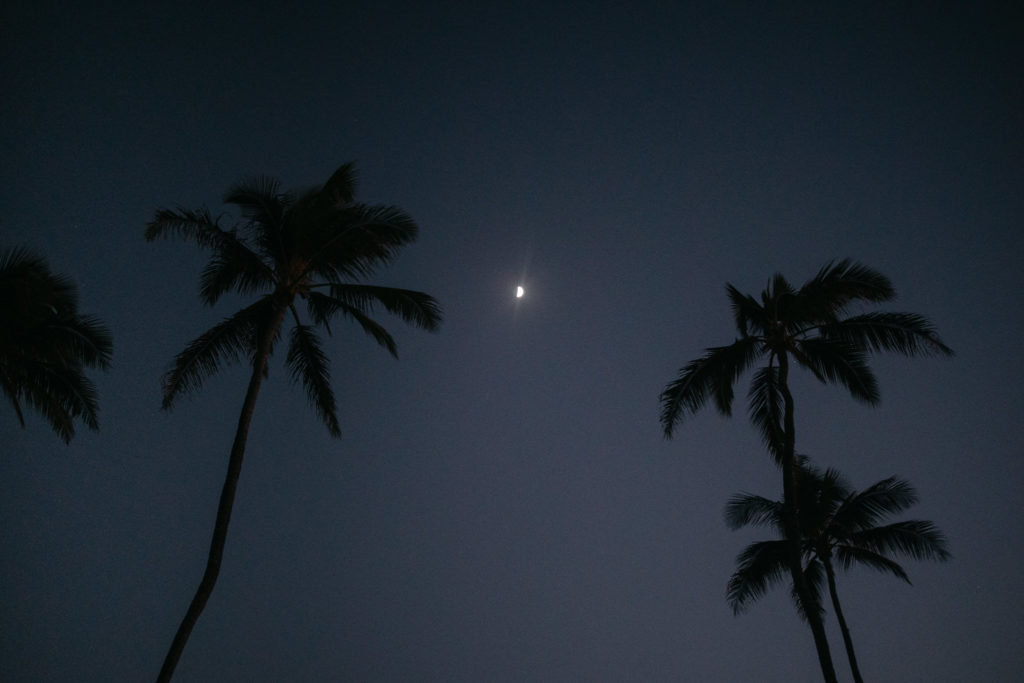 Maui engagement session moon and plam trees