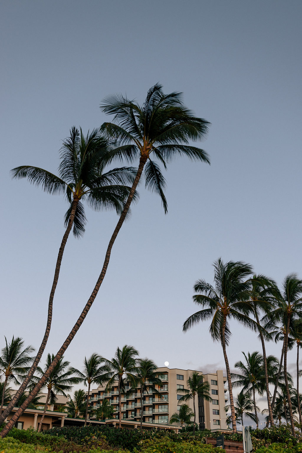 andaz maui